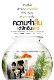 ความจำสั้น..แต่รักฉันยาว poster