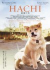 Hachi poster