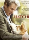 Hachi poster