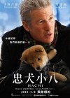 Hachi poster