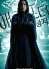 Harry Potter and the Half-Blood Prince poster