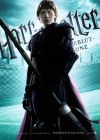 Harry Potter and the Half-Blood Prince poster