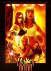 Killer Biker Chick poster