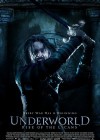 Underworld: Rise of the Lycans poster