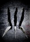 X-Men Origins: Wolverine poster