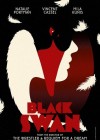 Black Swan poster
