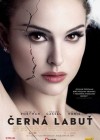 Black Swan poster