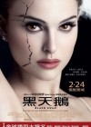 Black Swan poster