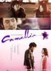 Camellia poster