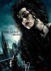 Harry Potter and the Deathly Hallows: Part 1 poster