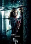 Harry Potter and the Deathly Hallows: Part 1 poster