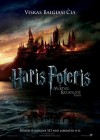 Harry Potter and the Deathly Hallows: Part 1 poster