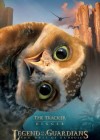 Legend of the Guardians: The Owls of Ga'Hoole poster