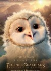 Legend of the Guardians: The Owls of Ga'Hoole poster