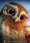 Legend of the Guardians: The Owls of Ga'Hoole poster