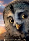 Legend of the Guardians: The Owls of Ga'Hoole poster