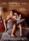 Love and Other Drugs poster