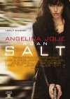 Salt poster