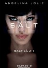 Salt poster