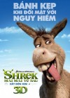 Shrek Forever After poster