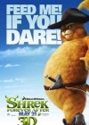 Shrek Forever After poster