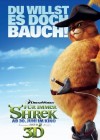 Shrek Forever After poster