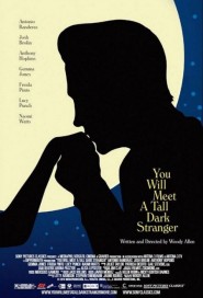 You Will Meet a Tall Dark Stranger poster