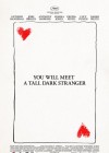 You Will Meet a Tall Dark Stranger poster