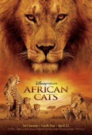 African Cats poster