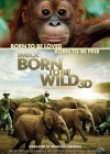 Born to Be Wild poster