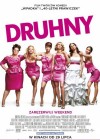 Bridesmaids poster