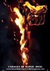 Ghost Rider: Spirit of Vengeance poster