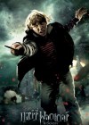 Harry Potter and the Deathly Hallows: Part 2 poster