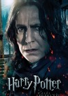 Harry Potter and the Deathly Hallows: Part 2 poster