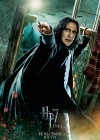 Harry Potter and the Deathly Hallows: Part 2 poster