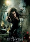 Harry Potter and the Deathly Hallows: Part 2 poster