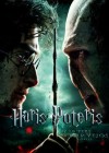 Harry Potter and the Deathly Hallows: Part 2 poster