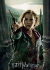 Harry Potter and the Deathly Hallows: Part 2 poster