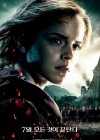 Harry Potter and the Deathly Hallows: Part 2 poster