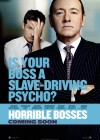 Horrible Bosses poster