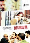 Nader and Simin: a Separation poster