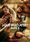 The Hangover Part II poster