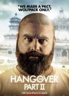 The Hangover Part II poster