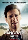 The Hangover Part II poster