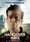 The Hangover Part II poster