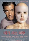 The Skin I Live In poster