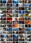 The Tree of Life poster