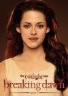 The Twilight Saga: Breaking Dawn - Part 1 poster