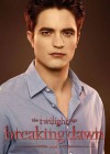 The Twilight Saga: Breaking Dawn - Part 1 poster