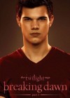 The Twilight Saga: Breaking Dawn - Part 1 poster